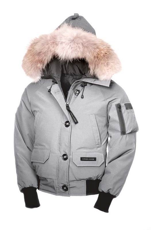 Chilliwack Bomber Jacket Canada Goose Womens Light Grey outlet store